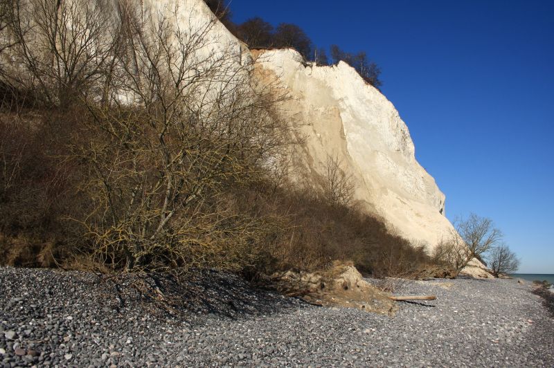 gal/Voyages/Denmark/Mons_Klint/Mons_Klint_Denmark_cliff064.jpg