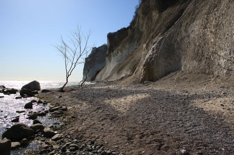 gal/Voyages/Denmark/Mons_Klint/Mons_Klint_Denmark_cliff105.jpg