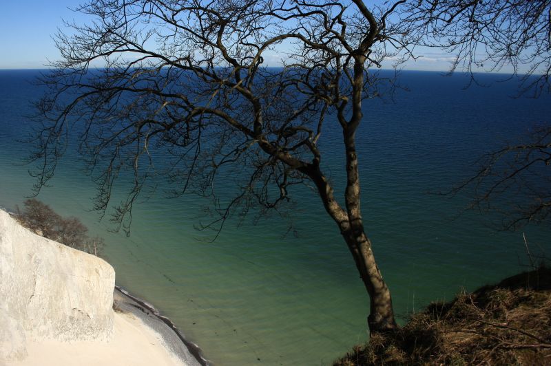 gal/Voyages/Denmark/Mons_Klint/Mons_Klint_Denmark_cliff125.jpg