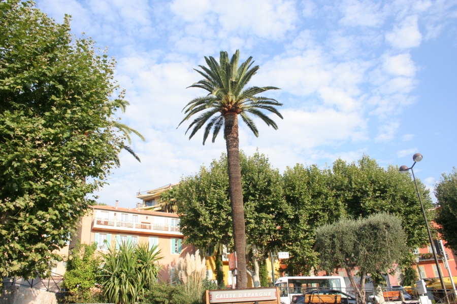 gal/Voyages/France/Cote_Azur/Baleines_-_Villefranche/IMG_0882.JPG