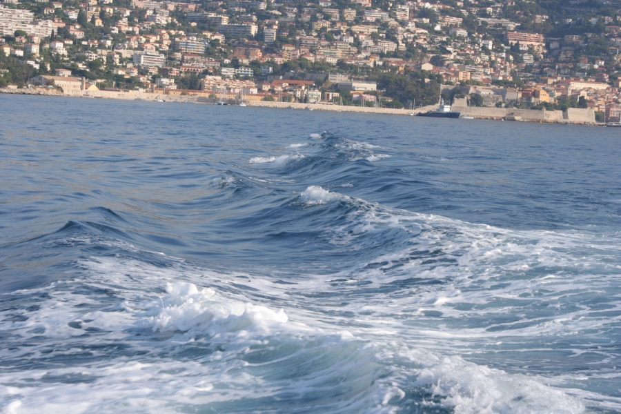 gal/Voyages/France/Cote_Azur/Baleines_-_Villefranche/IMG_0915.JPG