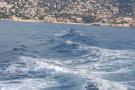 gal/Voyages/France/Cote_Azur/Baleines_-_Villefranche/_thb_IMG_0915.JPG
