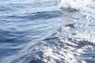gal/Voyages/France/Cote_Azur/Baleines_-_Villefranche/_thb_IMG_0959.JPG