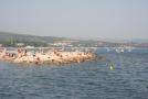 gal/Voyages/France/Cote_Azur/La_Ciotat/_thb_IMG_5922.JPG