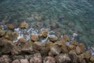 gal/Voyages/France/Cote_Azur/Monaco/musee/_thb_IMG_0591.JPG