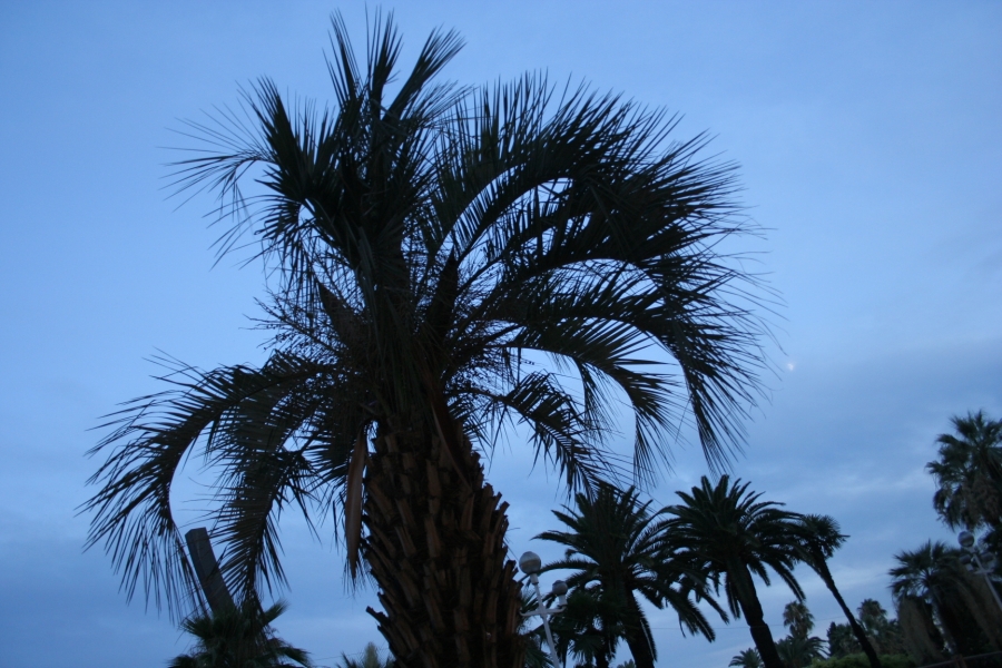 gal/Voyages/France/Cote_Azur/Nice/IMG_9019.JPG