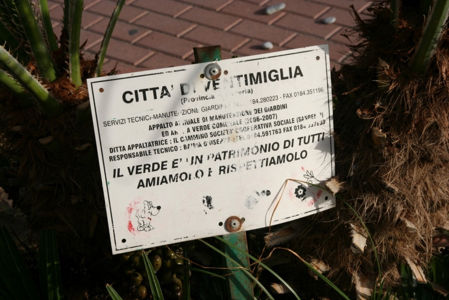 gal/Voyages/France/Cote_Azur/Vintimiglia/IMG_5779.JPG