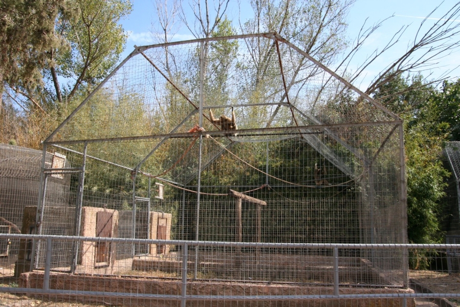 gal/Voyages/France/Cote_Azur/Zoo_de_Frejus/IMG_5305.JPG
