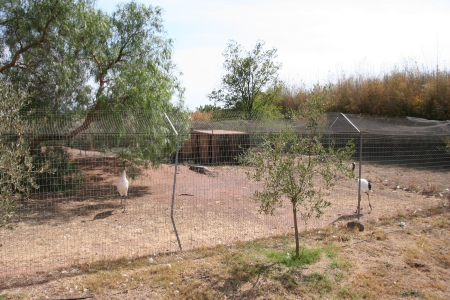 gal/Voyages/France/Cote_Azur/Zoo_de_Frejus/IMG_5306.JPG