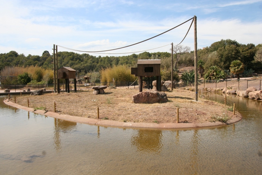 gal/Voyages/France/Cote_Azur/Zoo_de_Frejus/IMG_5307.JPG