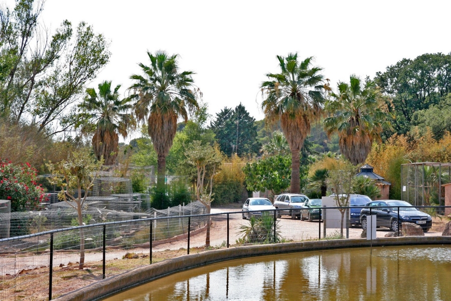 gal/Voyages/France/Cote_Azur/Zoo_de_Frejus/IMG_5312.JPG