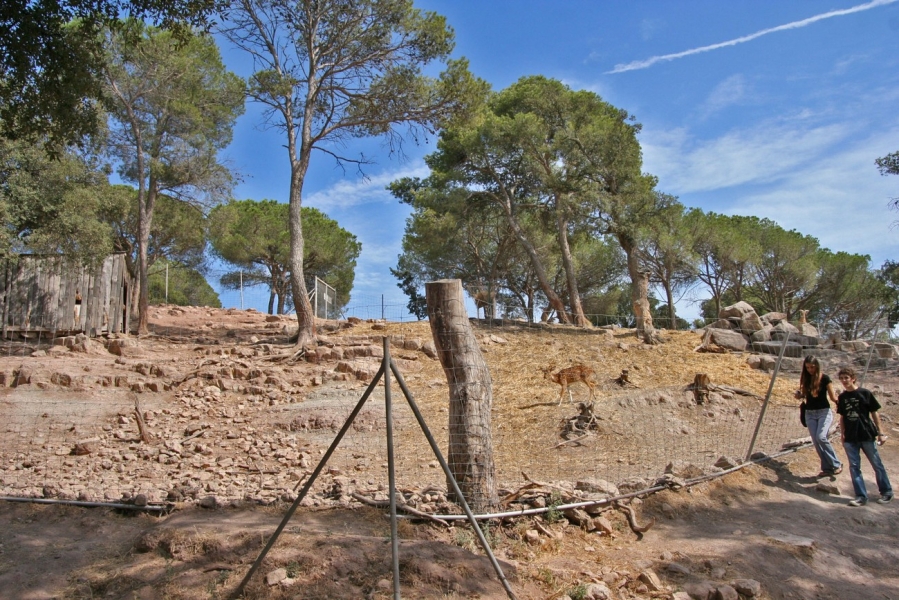 gal/Voyages/France/Cote_Azur/Zoo_de_Frejus/IMG_5316.JPG