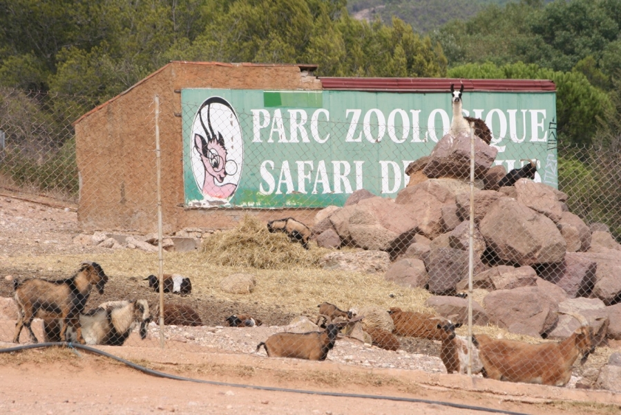 gal/Voyages/France/Cote_Azur/Zoo_de_Frejus/IMG_5344.JPG