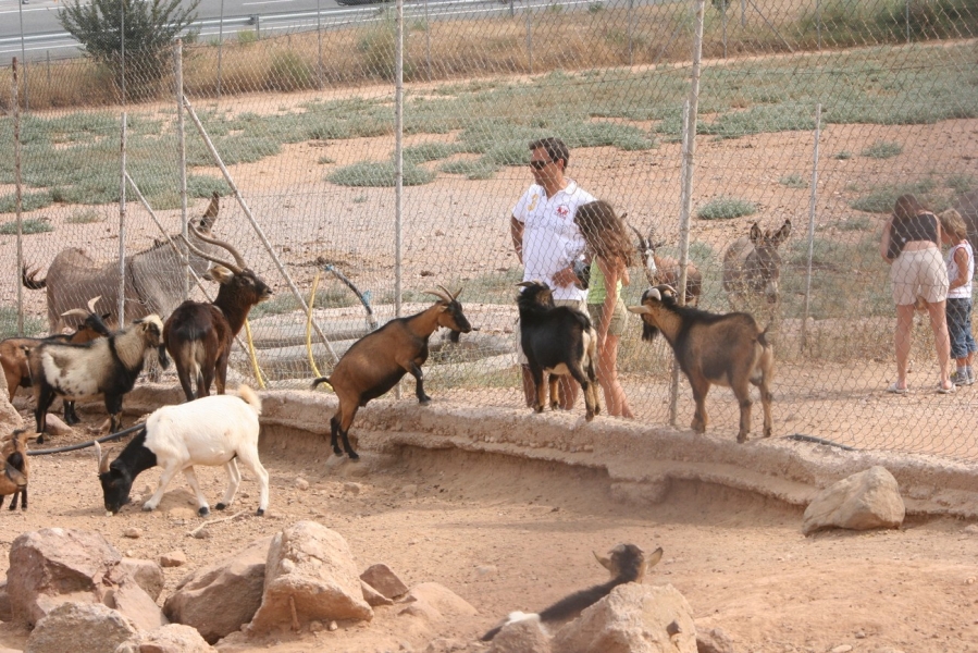 gal/Voyages/France/Cote_Azur/Zoo_de_Frejus/IMG_5355.JPG