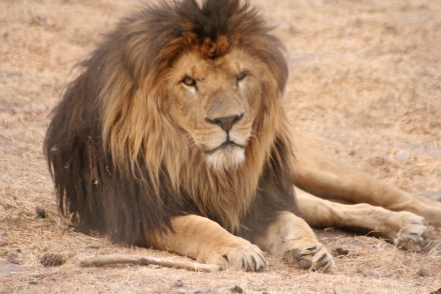 gal/Voyages/France/Cote_Azur/Zoo_de_Frejus/IMG_5414.JPG