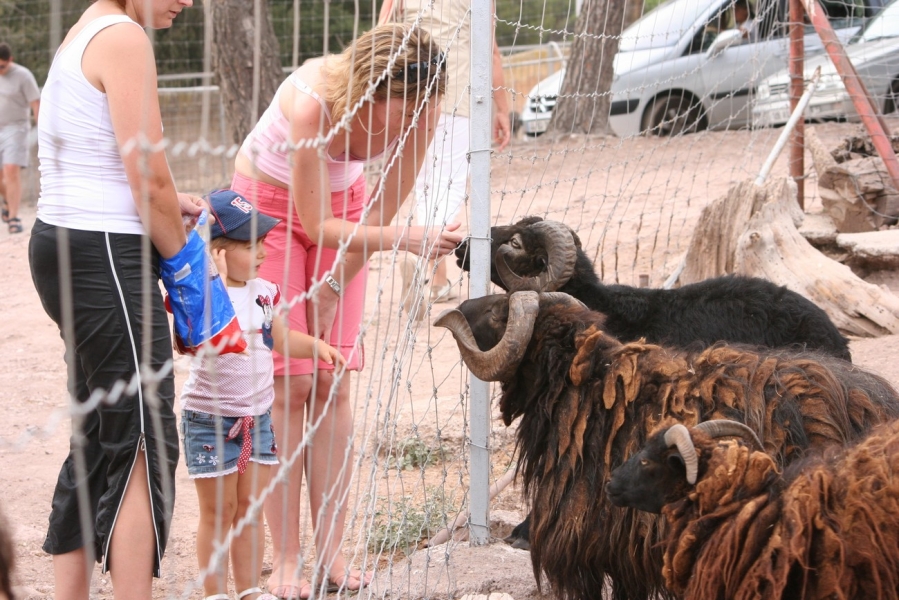 gal/Voyages/France/Cote_Azur/Zoo_de_Frejus/IMG_5432.JPG