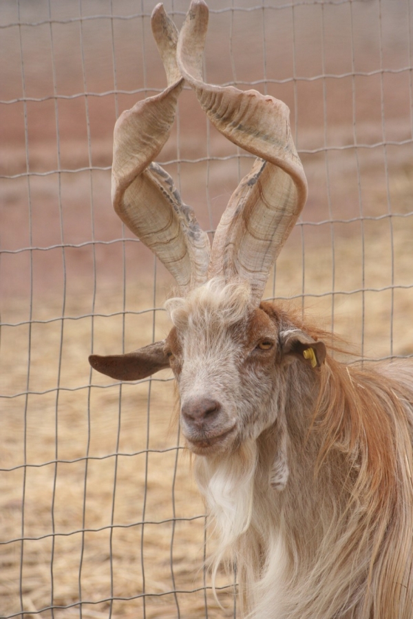 gal/Voyages/France/Cote_Azur/Zoo_de_Frejus/IMG_5445.JPG
