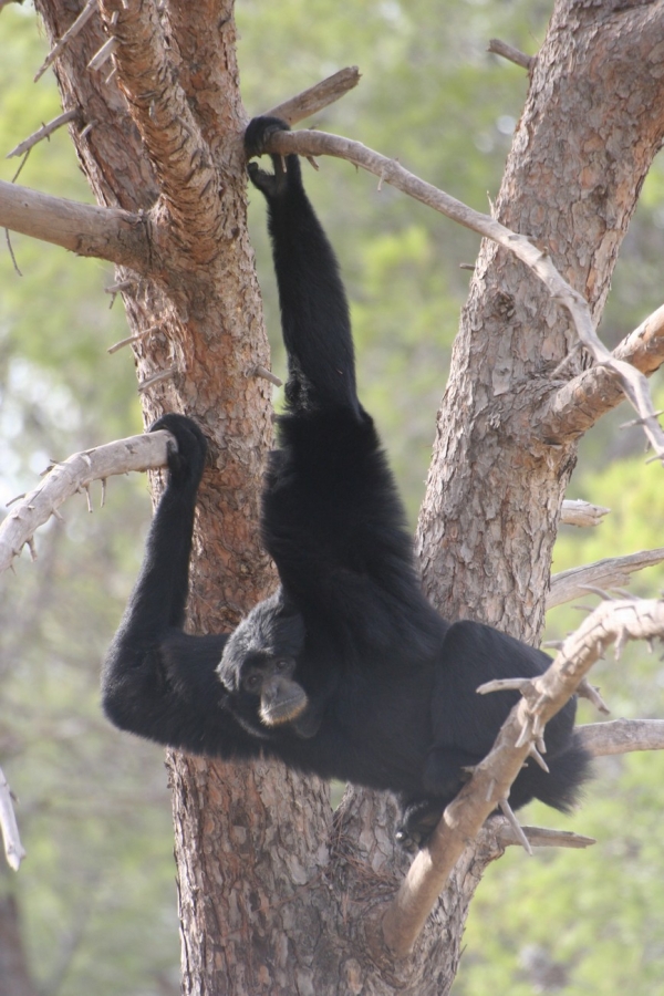 gal/Voyages/France/Cote_Azur/Zoo_de_Frejus/IMG_5461.JPG