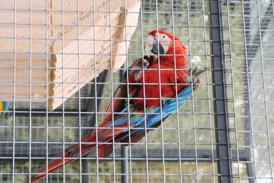 gal/Voyages/France/Cote_Azur/Zoo_de_Frejus/IMG_5508.JPG