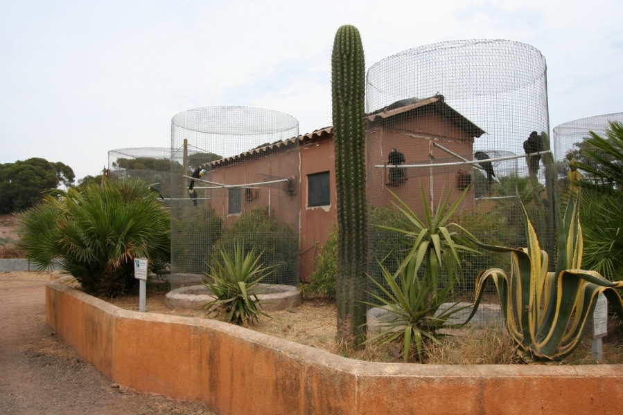 gal/Voyages/France/Cote_Azur/Zoo_de_Frejus/IMG_5542.JPG