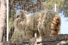 gal/Voyages/France/Cote_Azur/Zoo_de_Frejus/_thb_IMG_5326.JPG