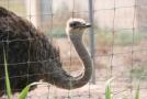gal/Voyages/France/Cote_Azur/Zoo_de_Frejus/_thb_IMG_5340.JPG
