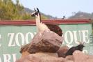 gal/Voyages/France/Cote_Azur/Zoo_de_Frejus/_thb_IMG_5349.JPG