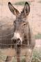 gal/Voyages/France/Cote_Azur/Zoo_de_Frejus/_thb_IMG_5354.JPG
