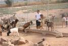 gal/Voyages/France/Cote_Azur/Zoo_de_Frejus/_thb_IMG_5355.JPG