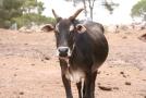 gal/Voyages/France/Cote_Azur/Zoo_de_Frejus/_thb_IMG_5381.JPG
