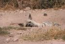 gal/Voyages/France/Cote_Azur/Zoo_de_Frejus/_thb_IMG_5388.JPG