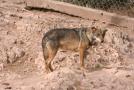 gal/Voyages/France/Cote_Azur/Zoo_de_Frejus/_thb_IMG_5390.JPG
