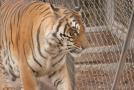 gal/Voyages/France/Cote_Azur/Zoo_de_Frejus/_thb_IMG_5402.JPG