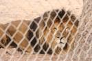 gal/Voyages/France/Cote_Azur/Zoo_de_Frejus/_thb_IMG_5404.JPG