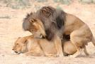 gal/Voyages/France/Cote_Azur/Zoo_de_Frejus/_thb_IMG_5409.JPG