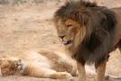 gal/Voyages/France/Cote_Azur/Zoo_de_Frejus/_thb_IMG_5412.JPG