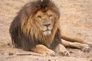 gal/Voyages/France/Cote_Azur/Zoo_de_Frejus/_thb_IMG_5414.JPG