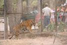 gal/Voyages/France/Cote_Azur/Zoo_de_Frejus/_thb_IMG_5425.JPG