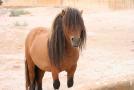 gal/Voyages/France/Cote_Azur/Zoo_de_Frejus/_thb_IMG_5428.JPG