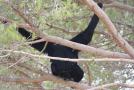 gal/Voyages/France/Cote_Azur/Zoo_de_Frejus/_thb_IMG_5446.JPG