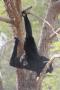 gal/Voyages/France/Cote_Azur/Zoo_de_Frejus/_thb_IMG_5461.JPG