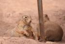 gal/Voyages/France/Cote_Azur/Zoo_de_Frejus/_thb_IMG_5469.JPG