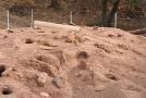 gal/Voyages/France/Cote_Azur/Zoo_de_Frejus/_thb_IMG_5475.JPG