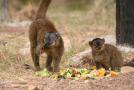 gal/Voyages/France/Cote_Azur/Zoo_de_Frejus/_thb_IMG_5487.JPG