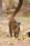 gal/Voyages/France/Cote_Azur/Zoo_de_Frejus/_thb_IMG_5488.JPG