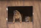 gal/Voyages/France/Cote_Azur/Zoo_de_Frejus/_thb_IMG_5493.JPG