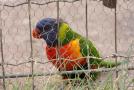 gal/Voyages/France/Cote_Azur/Zoo_de_Frejus/_thb_IMG_5497.JPG