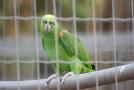 gal/Voyages/France/Cote_Azur/Zoo_de_Frejus/_thb_IMG_5500.JPG