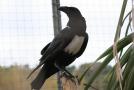 gal/Voyages/France/Cote_Azur/Zoo_de_Frejus/_thb_IMG_5502.JPG