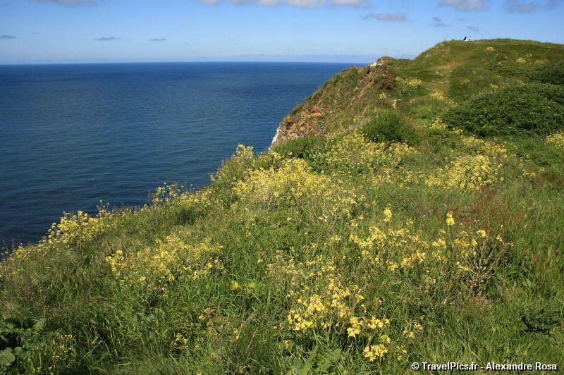 gal/Voyages/France/Etretat/Etretat_Falaises144.jpg